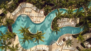 Ett flygbildsfoto av ett resorts oändliga poolområde med flera solstolar och palmer.