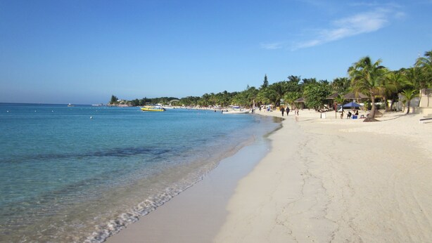 Una spiaggia con acque cristalline, palme e alcune barche.