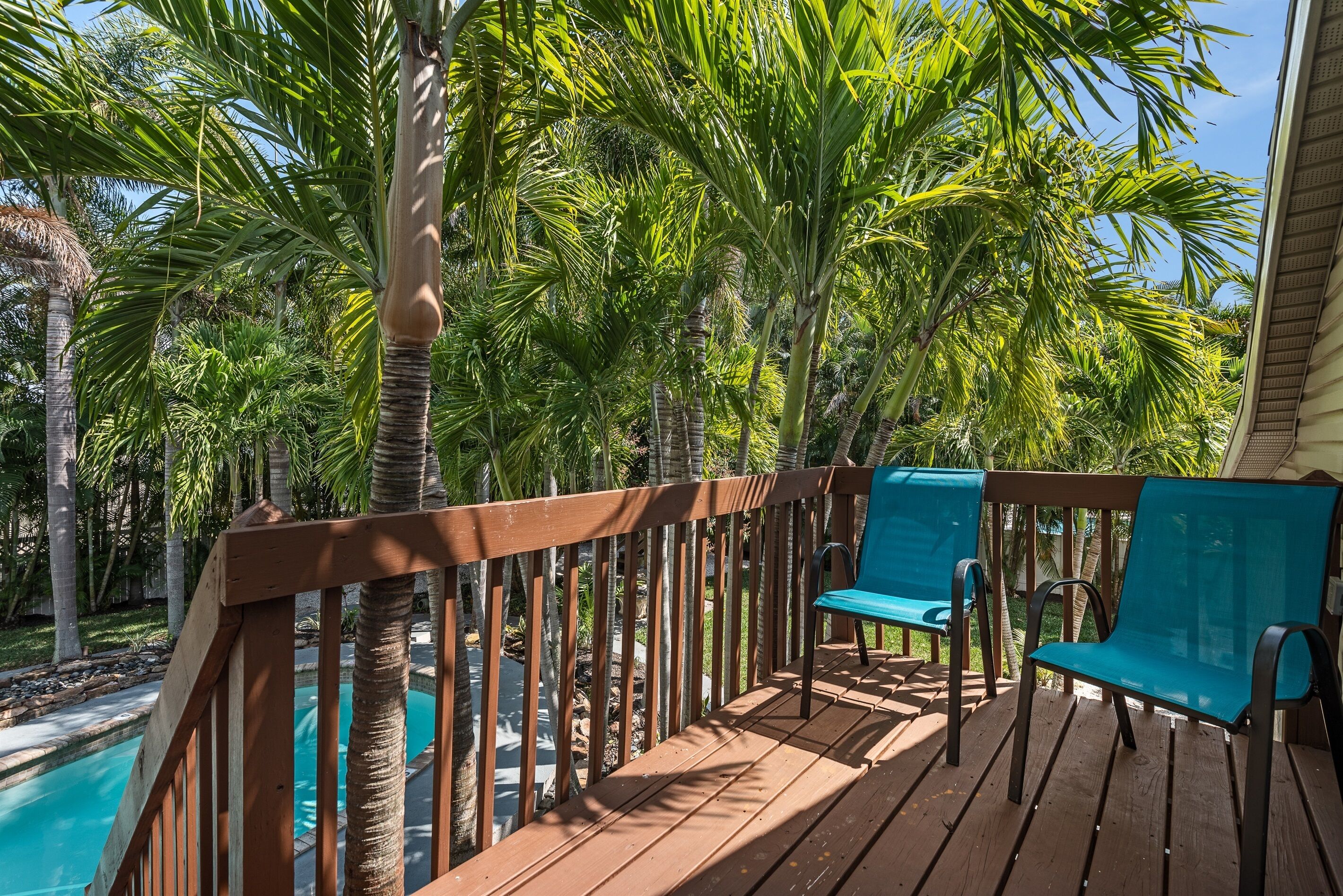 A wooden deck with two blue chairs, surrounded by palm trees and a pool.