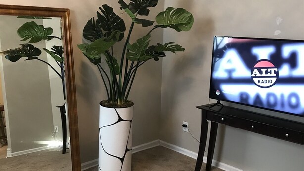 Une pièce avec un grand miroir, un monstera en pot et un téléviseur dont l’écran affiche « ALT RADIO ».