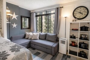 TV, fireplace, books
