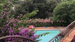 A pool area with a view of a hillside, surrounded by lush greenery and purple flowers. - Villa 5 Chambres, vue Mer, Piscine, 5´ des Plages et Golf, Terrasses, Parking (Mandelieu-la-Napoule)