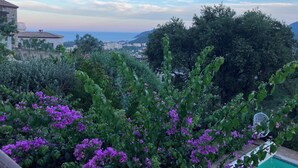 A garden with purple flowers and a view of a cityscape and mountains in the background. - Villa 5 Chambres, vue Mer, Piscine, 5´ des Plages et Golf, Terrasses, Parking (Mandelieu-la-Napoule)