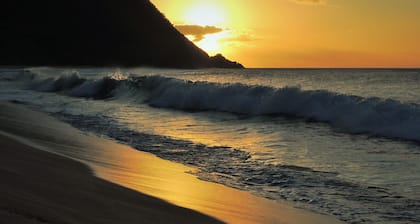 Gîte- appart' Ylang Ylang small sea view in the heart of a tropical garden