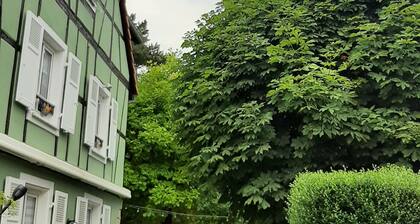 La maison verte, deux piĂšces charmant et moderne