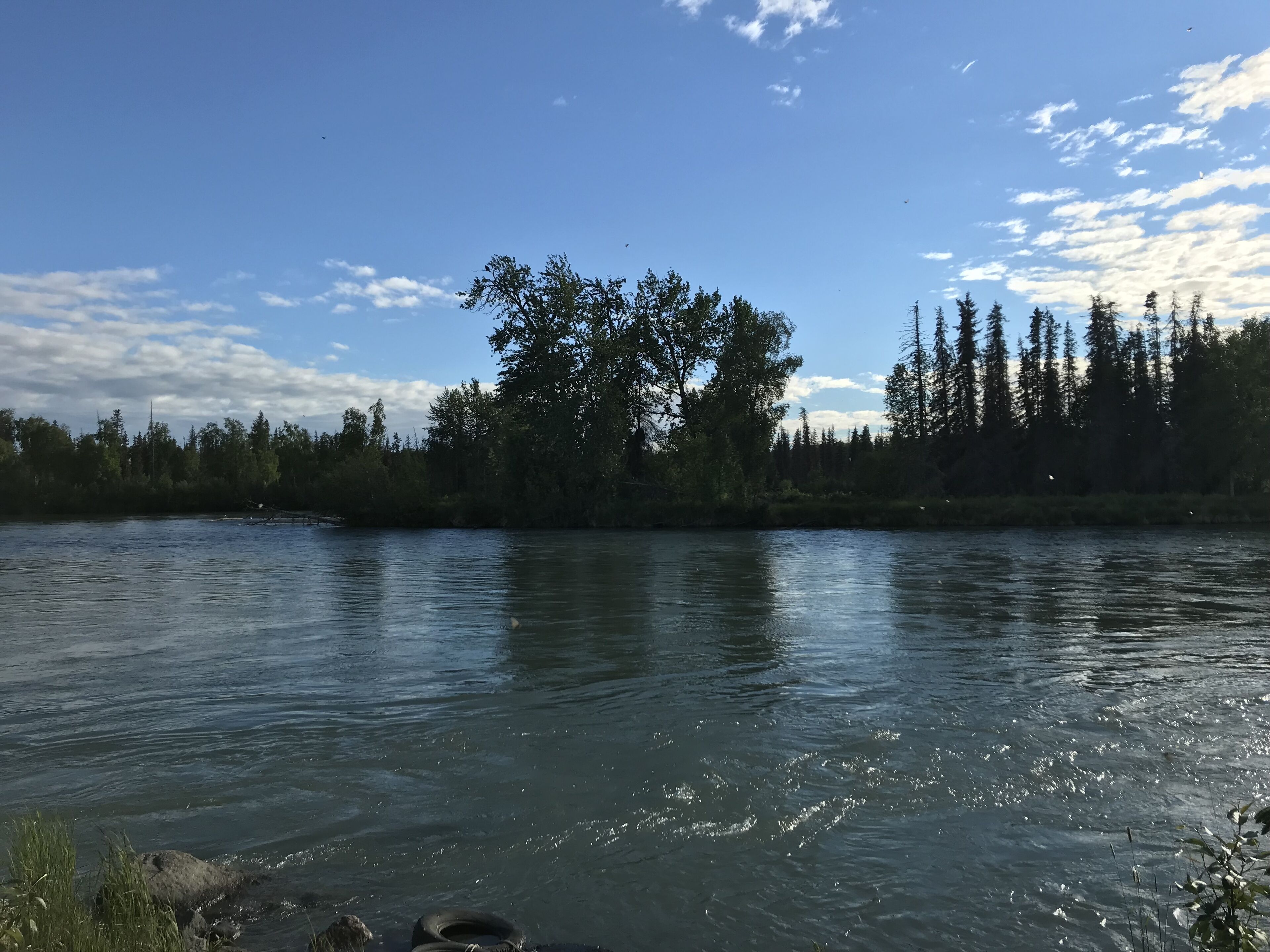 A calm river with trees and a clear sky.