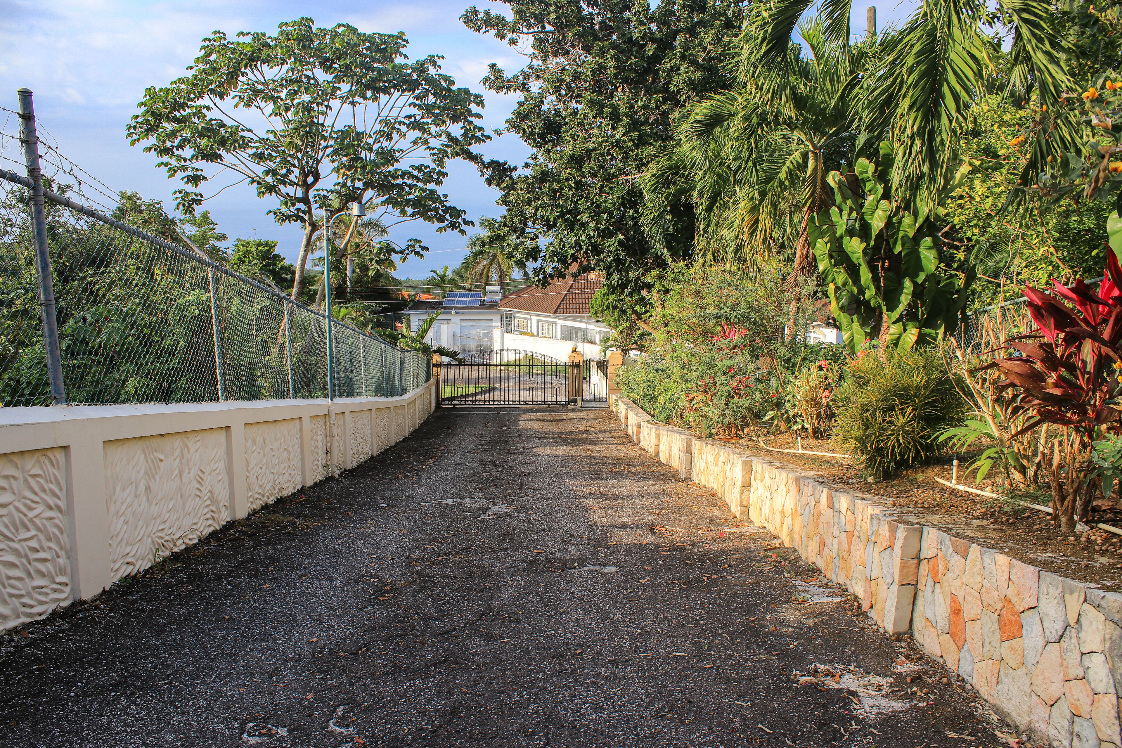 Un camino pavimentado que lleva a una entrada con portón, rodeado de abundante vegetación y un muro de piedra.