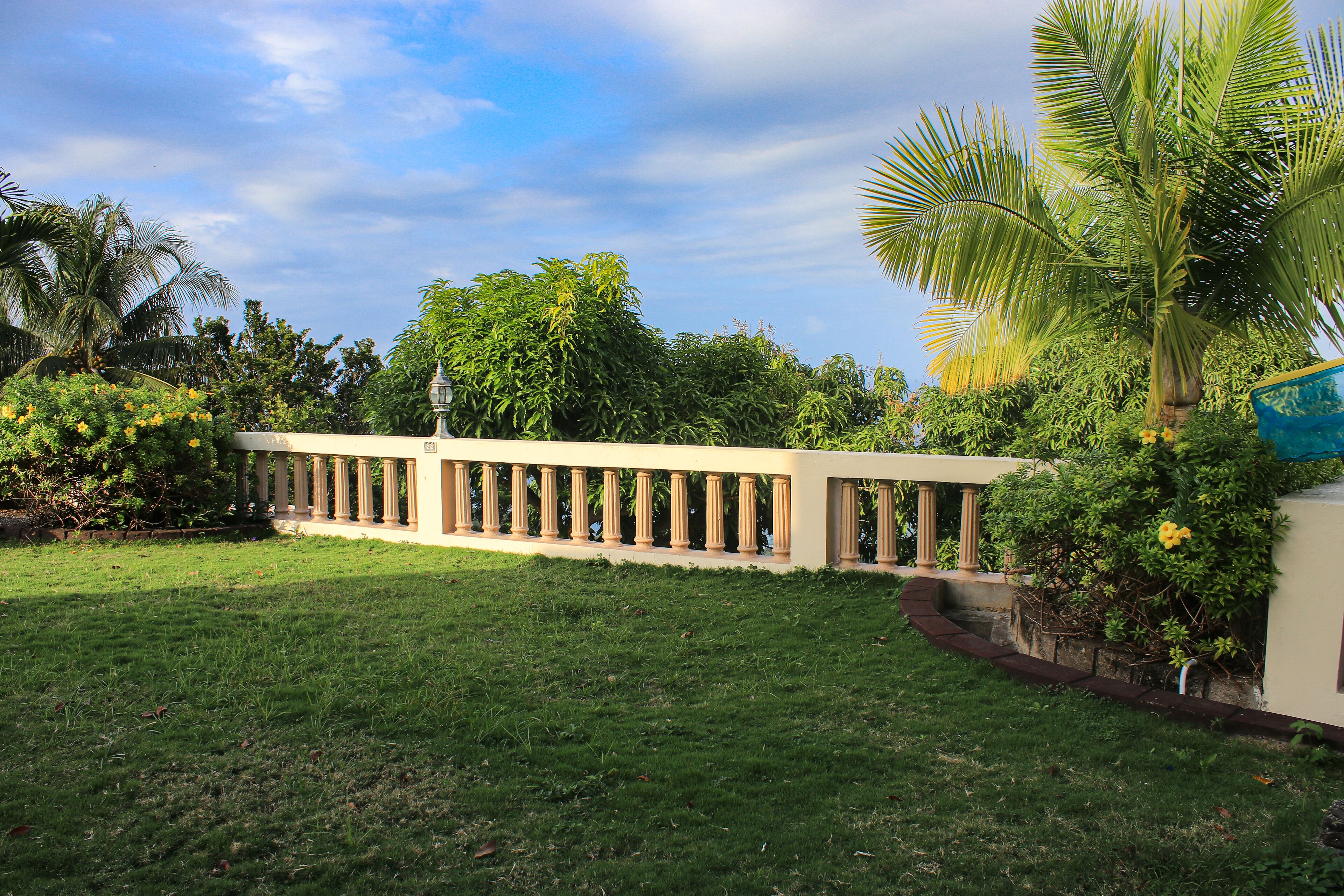 Un jardín cuidado con un sendero, palmeras y un edificio con columnas.