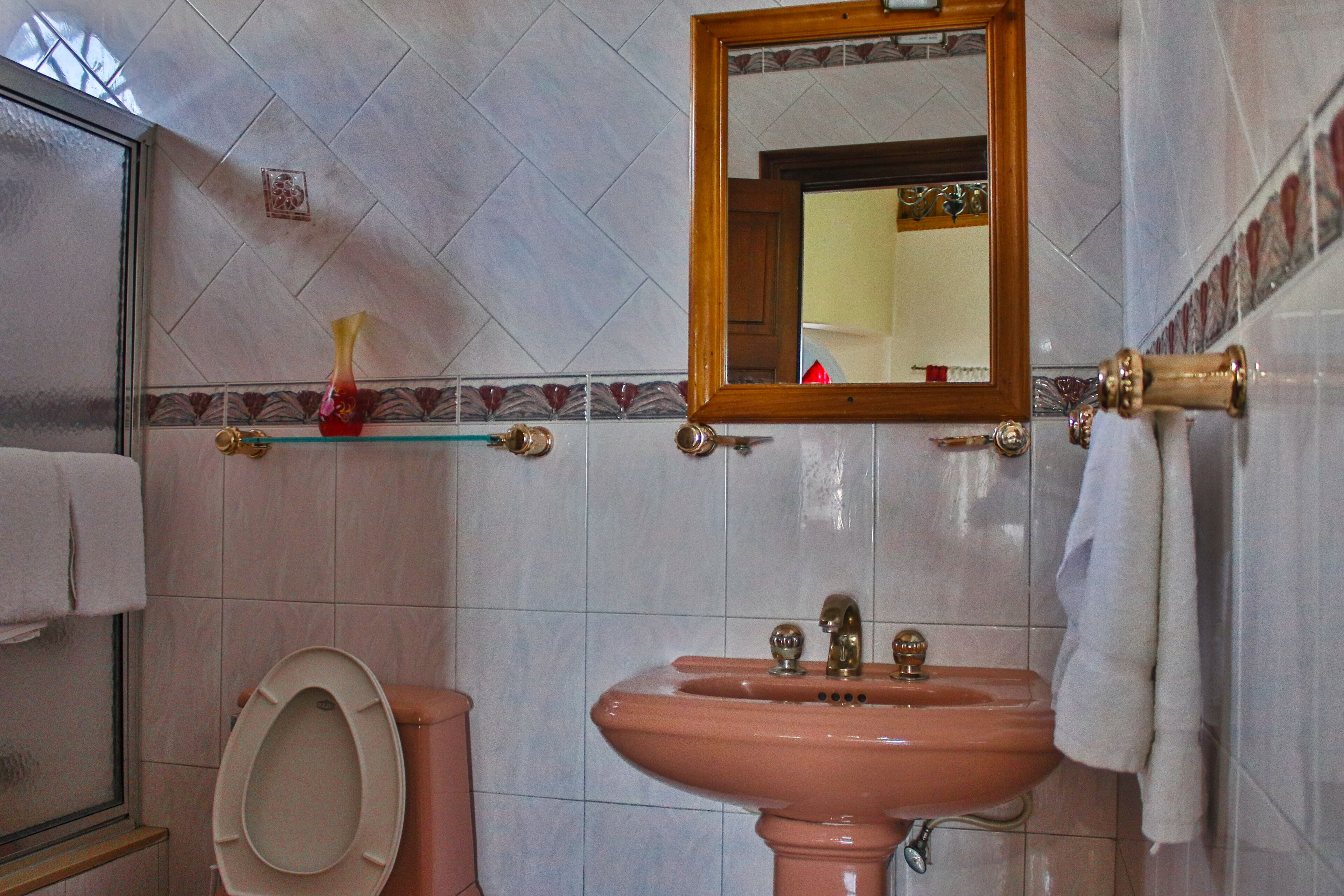 Een badkamer met toilet, wastafel en spiegel.