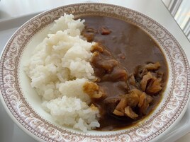 Un plato de arroz blanco y una salsa marrón con trozos de carne.