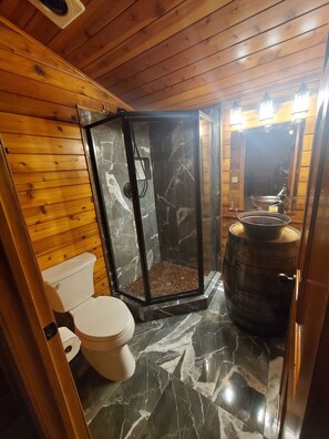 Combined shower/tub, hair dryer, towels, toilet paper