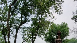 Un parque con un sendero de piedra, un banco de madera y una estatua de un animal.