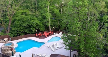 Treetops Resort-Gatlinburg 1 Bdrm/1Bath On Roaring Fork Stream