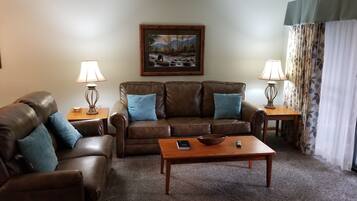 TV, fireplace, DVD player, books