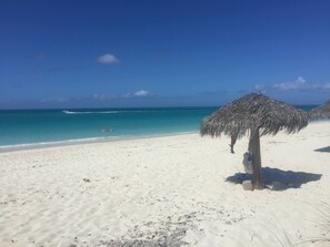 Nära stranden