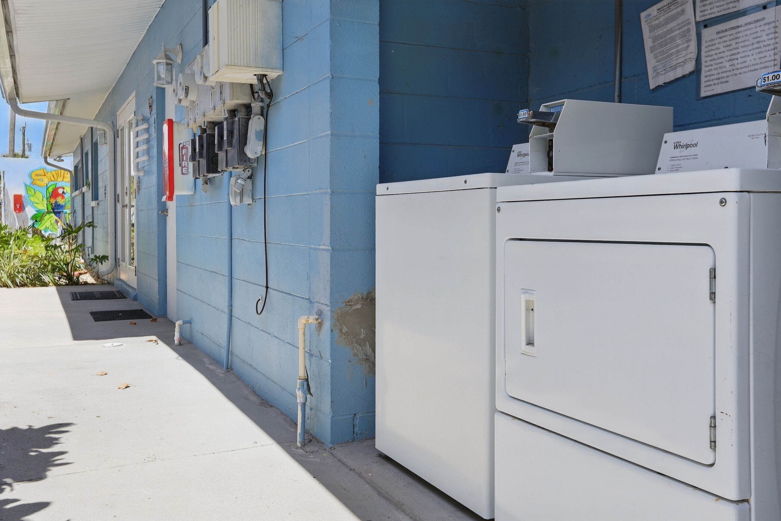 Une buanderie équipée d’un lave-linge Whirlpool blanc, d’un enrouleur de tuyau d’incendie et d’un mur bleu orné d’une fresque.