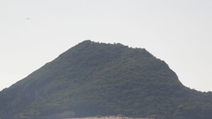 A mountain with dense green vegetation. - SeaFront Stone Villa with private access to the Beach (Άγιος Σώστης)