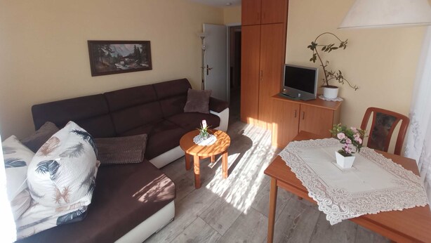 Een woonkamer met een bruine bank, een kleine houten tafel, een televisie op een kast en een schilderij aan de muur.