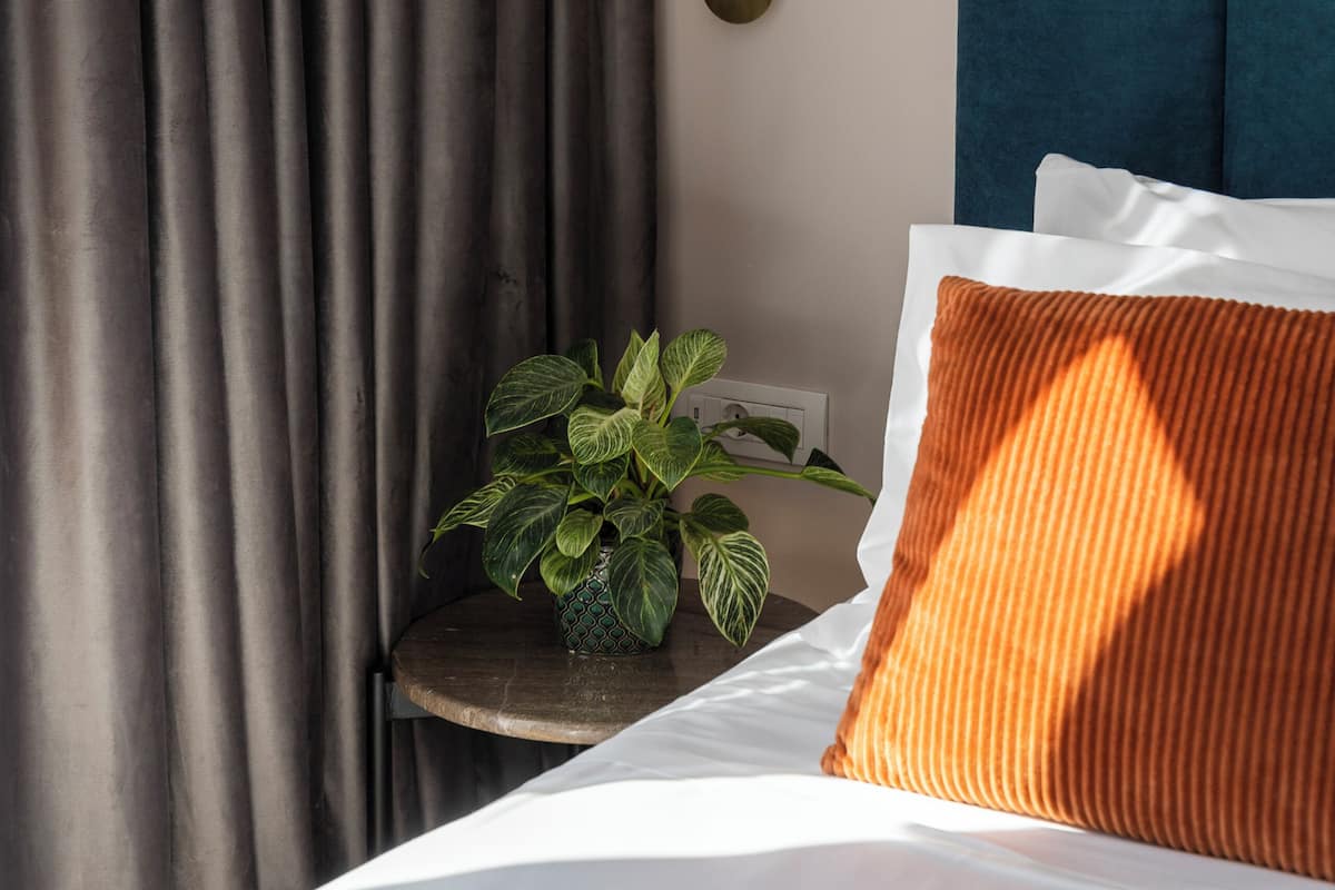 Ein ordentlich bezogenes Bett mit weißen Laken und einem orangefarbenen Kissen, ein dunkelblaues Kopfteil, eine Wandleuchte und ein Blumentopf auf einem kleinen Tisch neben dem Bett.