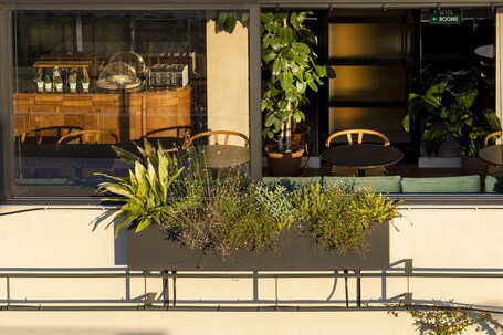 L'Avventura Athens - Image 22