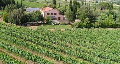 Appartamento Tenuta di Litiano