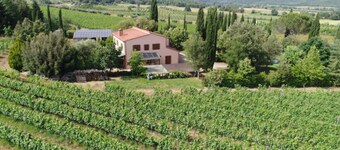 Appartamento Tenuta di Litiano