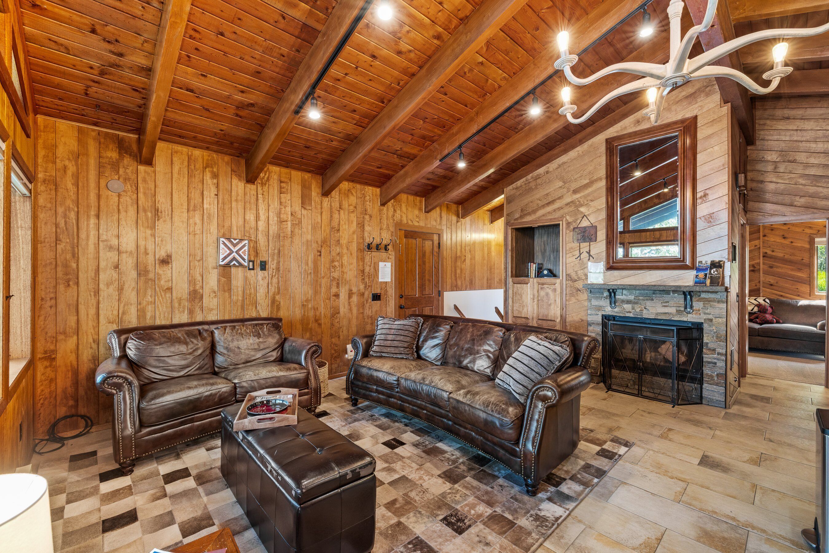 TV, fireplace, books