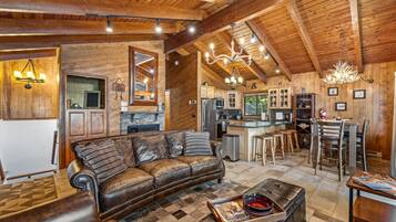 TV, fireplace, books