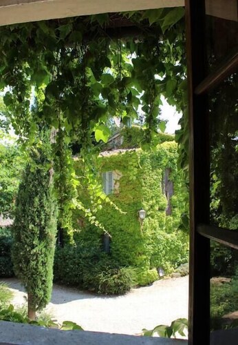 I Cipressi - Azienda Agricola Frascole