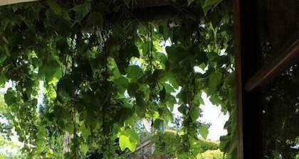 I Cipressi - Azienda Agricola Frascole