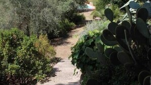 Una escalera de piedra que conduce a un sendero rodeado de vegetación y colinas al fondo.
