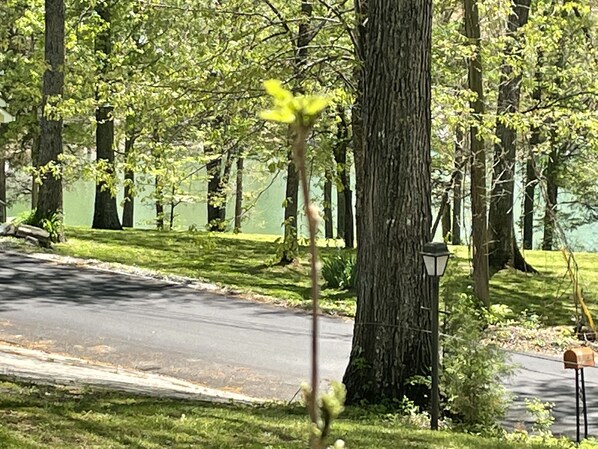 Property grounds - Norris Lake-Ride Royal Blue-Tackett Creek (Jacksboro)