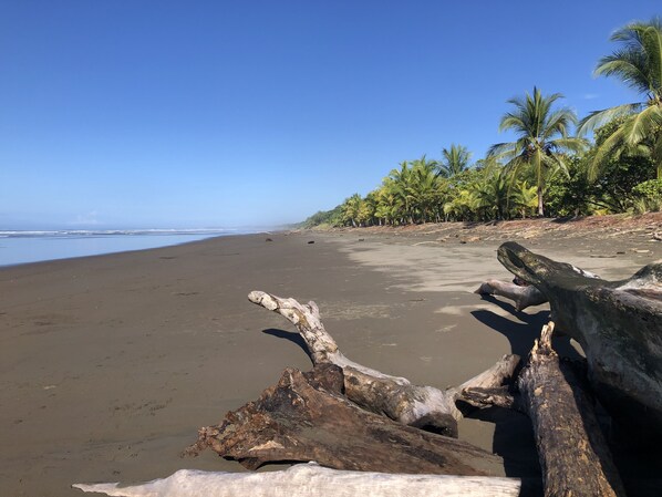 Beach nearby, sun-loungers, beach towels