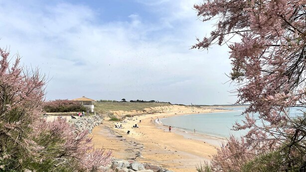 Platja