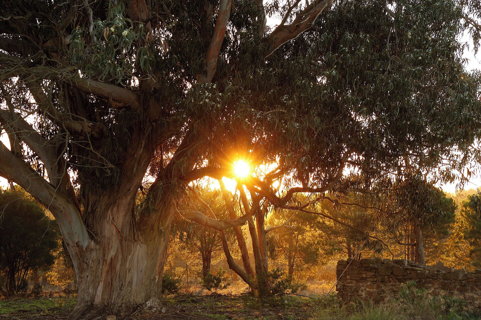 nature park suite with garden terrace | park view