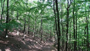 住宿场地