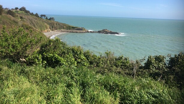 A coastal landscape with a curved beach, rocky outcrops, and dense greenery.