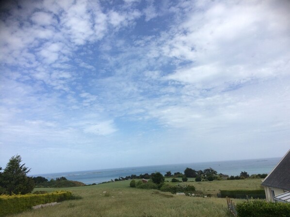 A coastal landscape with a grassy field, trees, and a building in the foreground.