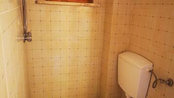 A small bathroom with a toilet, bidet, and a green mat on the floor.