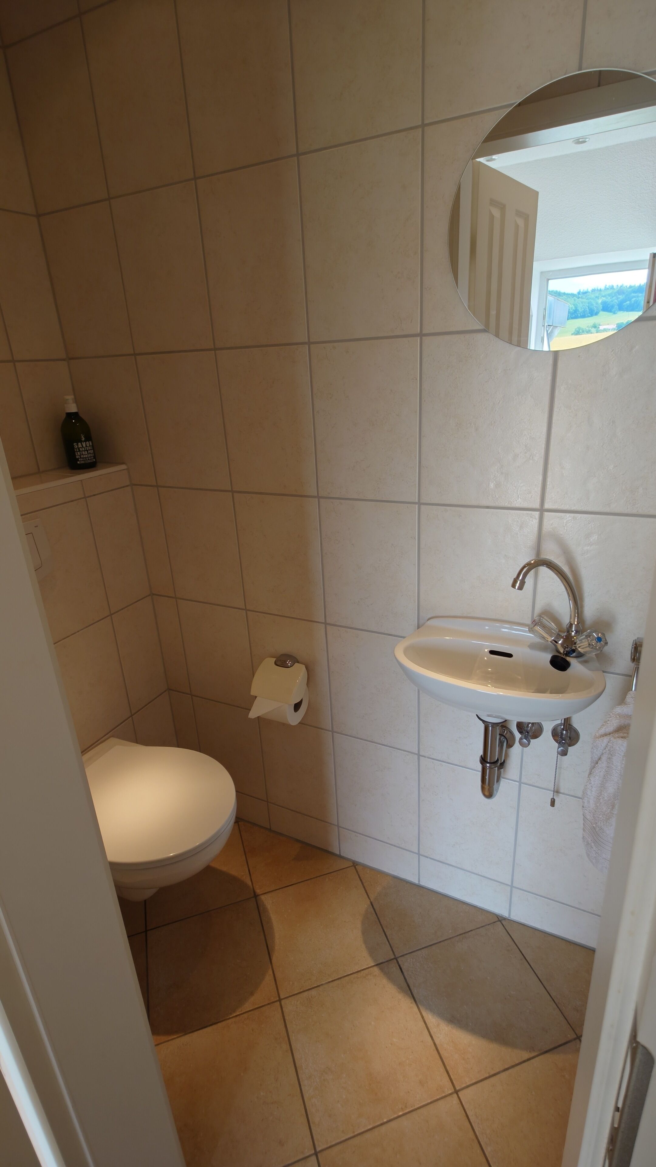 A bathroom with a toilet, a sink, and a mirror.