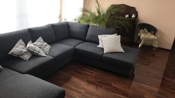 TV, books, music library