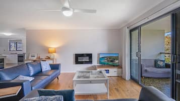 TV connectée, cheminée