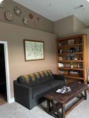 TV connectée, cheminée, jeux vidéo, livres