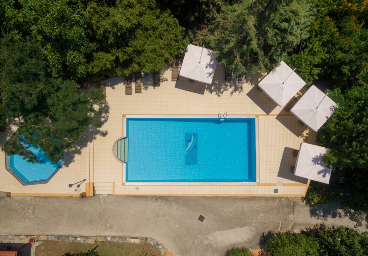 An aerial view of a rectangular swimming pool with a diving board, surrounded by trees and four white umbrellas.