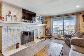 TV, fireplace, DVD player