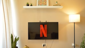 Un televisor montado en la pared con un gran logo rojo en forma de 'N', un estante superior con plantas pequeñas y un cuadro enmarcado, y una lámpara de pie a la derecha.