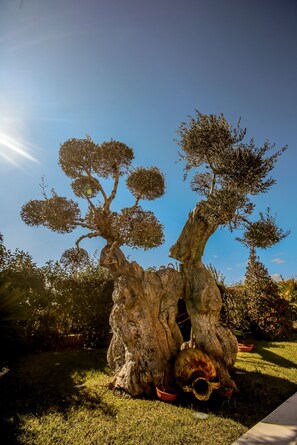 Parco della struttura
