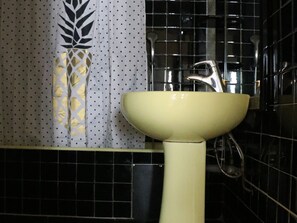 Baignoire, sèche-cheveux, serviettes fournies