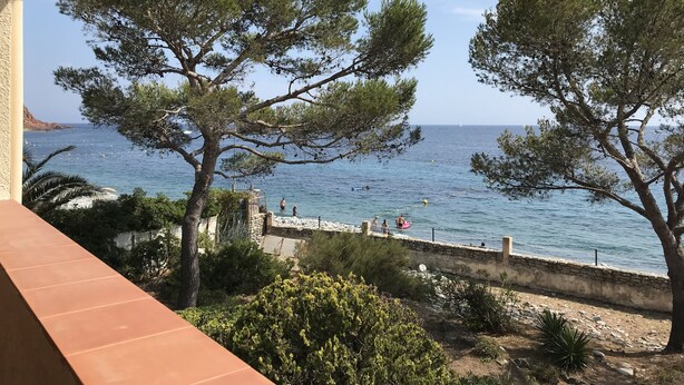 A coastal view with a stone wall, trees, and a clear sky.