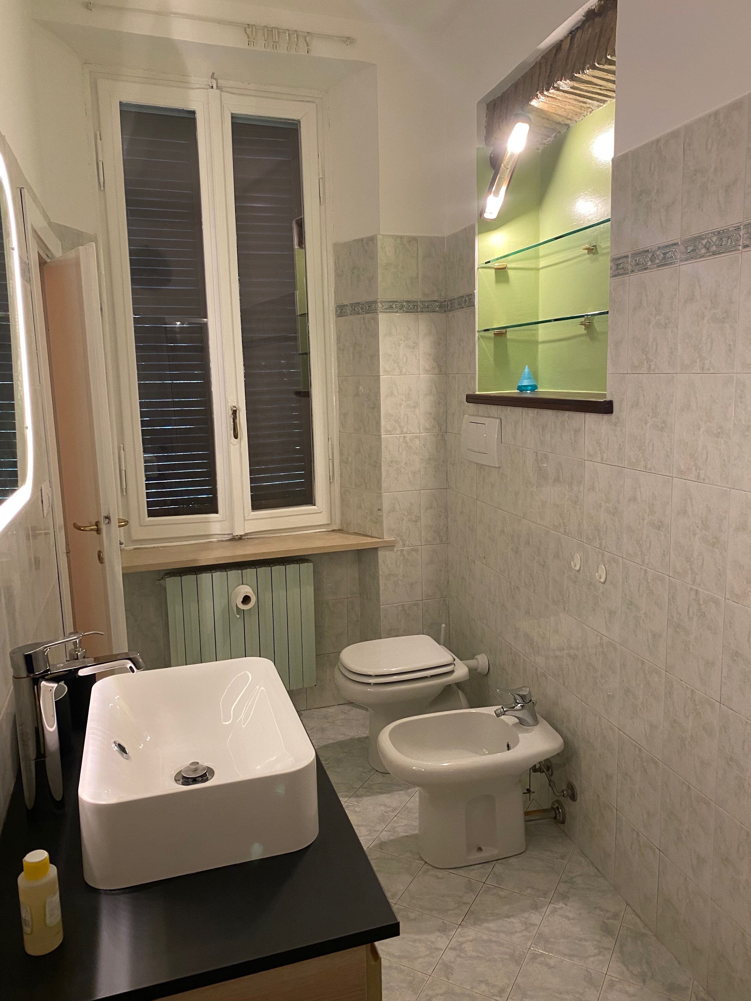 Shower, hair dryer, bidet, towels